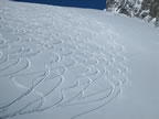 Haute Route Chamonix - Zermatt