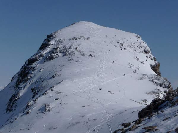 Skitourwoche in der Silvretta