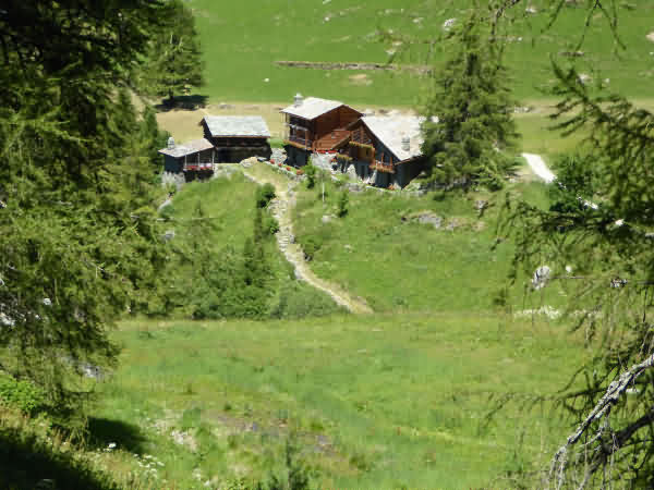 Wandern in Val d'Ayas - Champoluc - Aoatatal