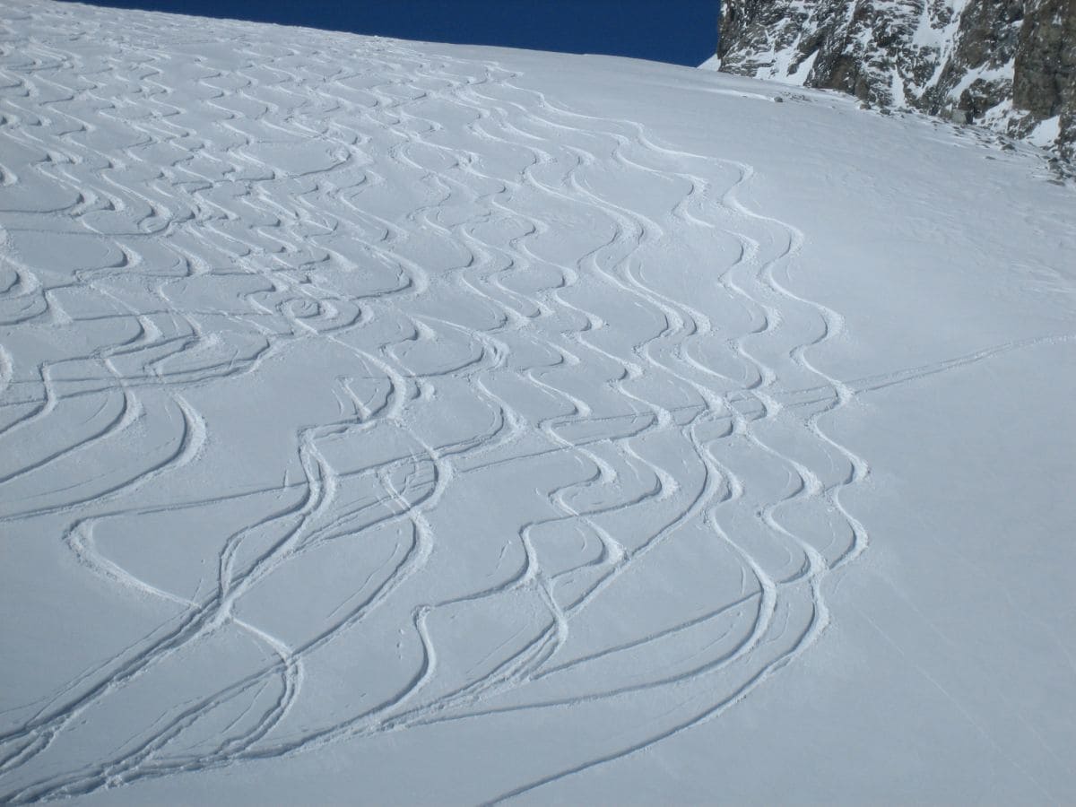 Haute-Route Chamonix Zermatt Ski de Rando