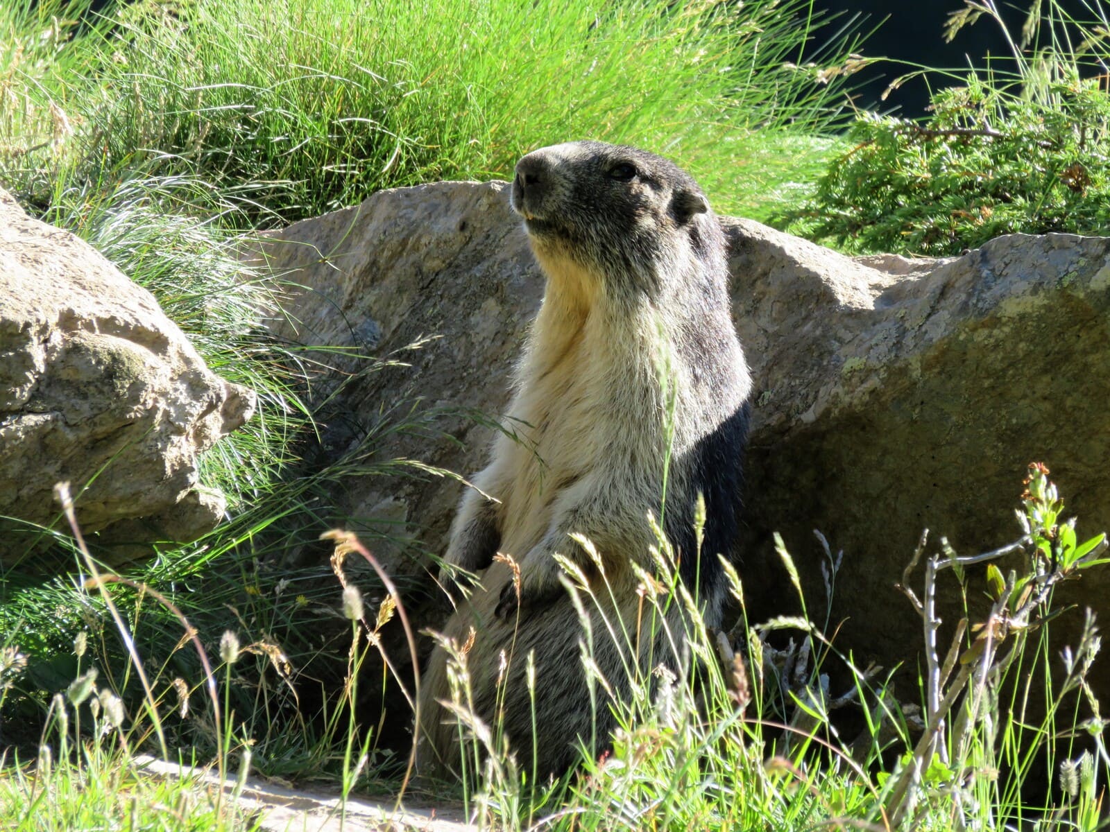 Trekking am Gran Paradiso