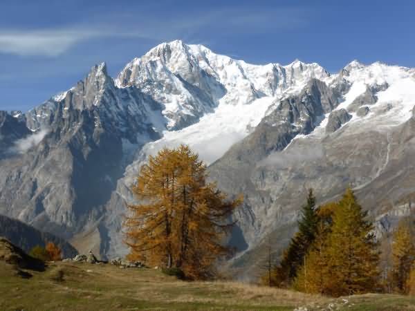 Gletscher des Mont-Blanc