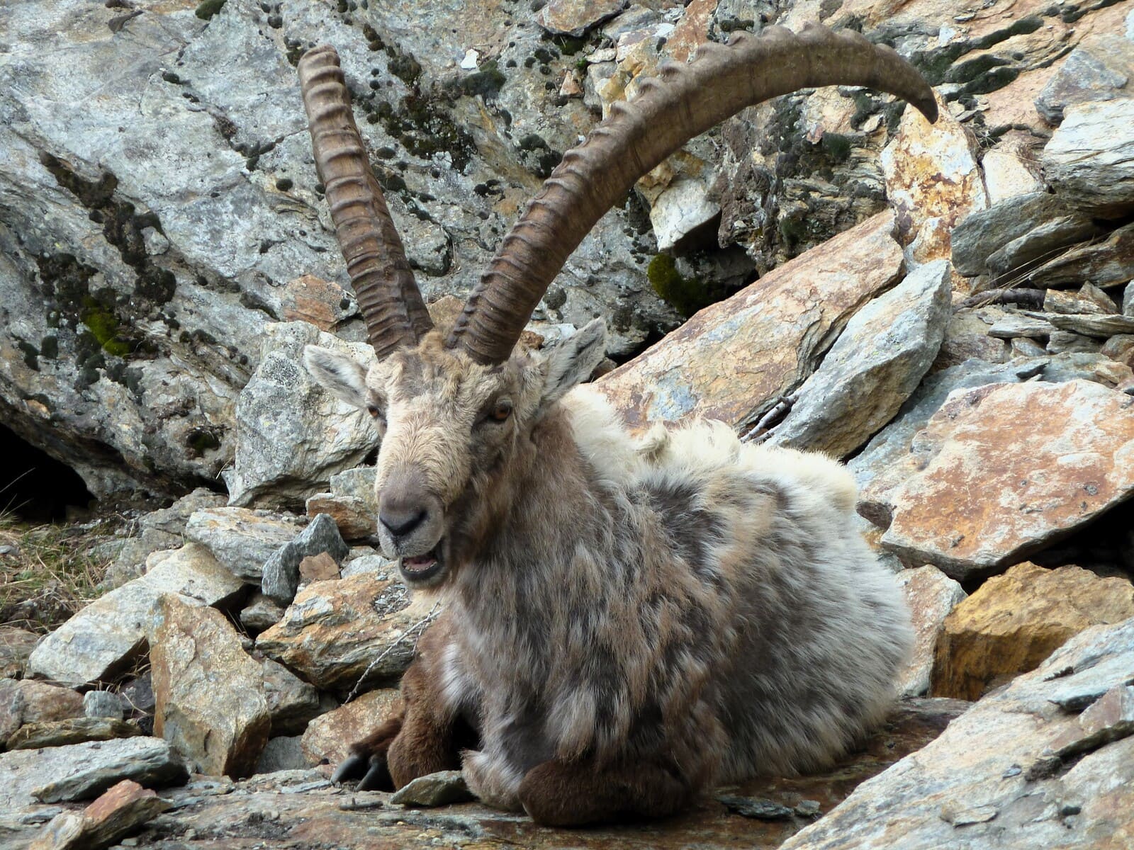 Nuit à la cabene Michabel - Saas-Fee