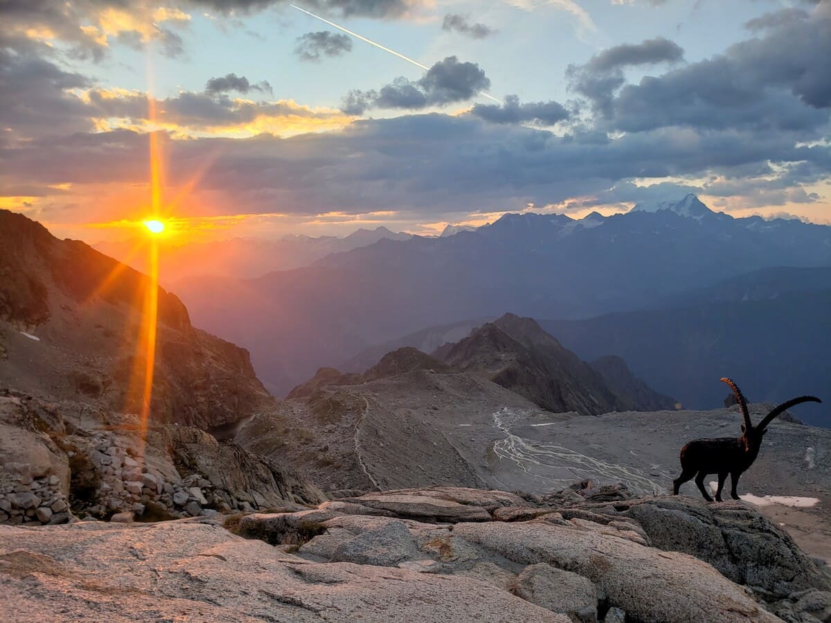 Stage alpinisme à Trient Orny