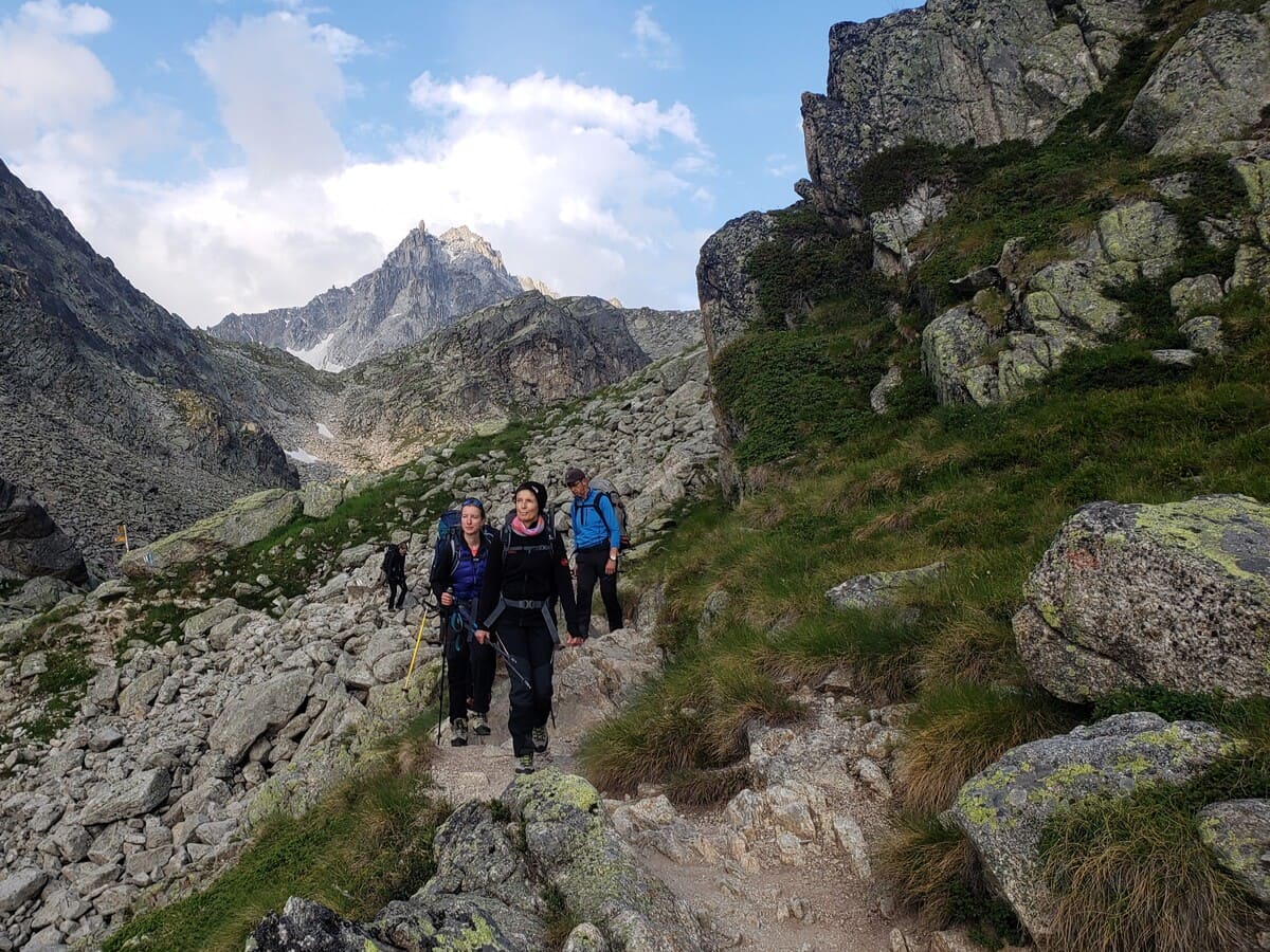 Stage alpinisme à Trient Orny