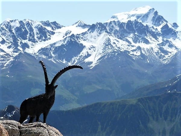 Haute Route de Chamonix à Zermatt