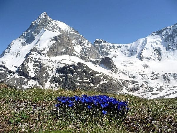 Haute-Route von Chamonix nach Zermatt in 7 Tage