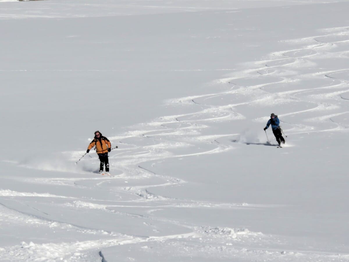 Guide raid skis tour grand paradis