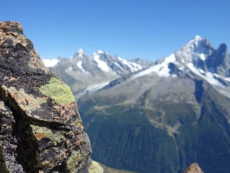 Guide escalade Chamonix