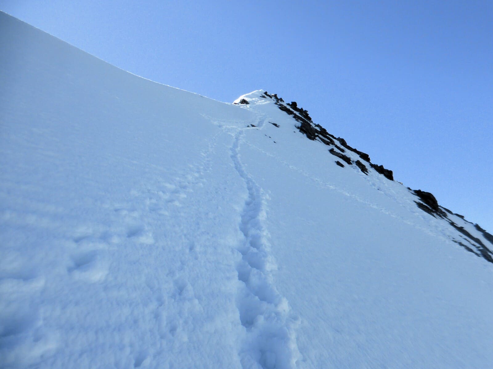 Deux 4000 à Saas-Fee : le Weissmies et le Lagginhorn