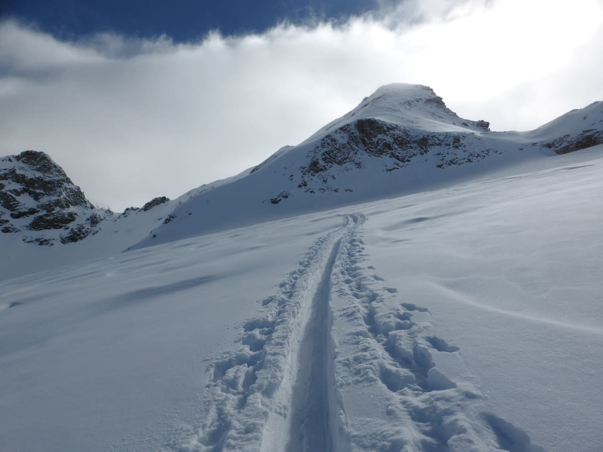 Guide ski randonnée grand-paradis