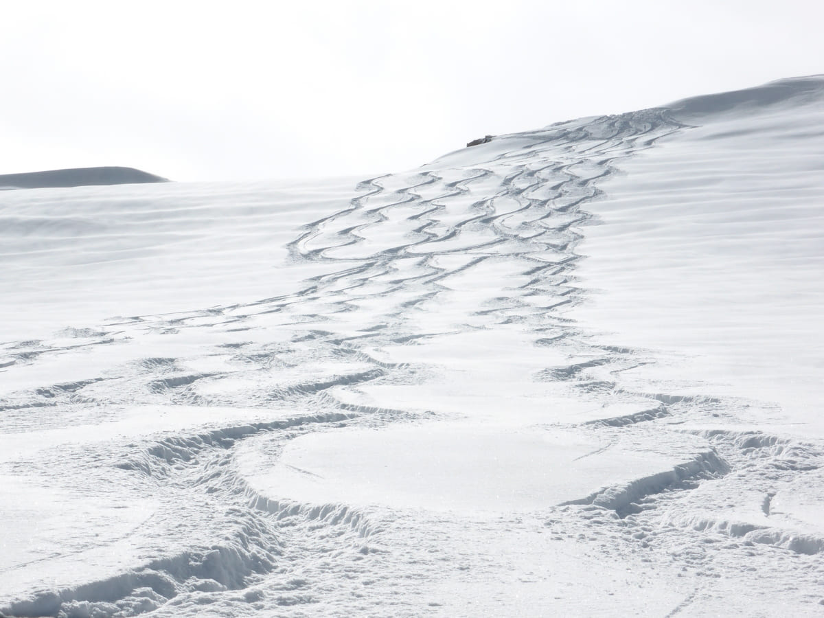 Guide ski randonnée grand-paradis