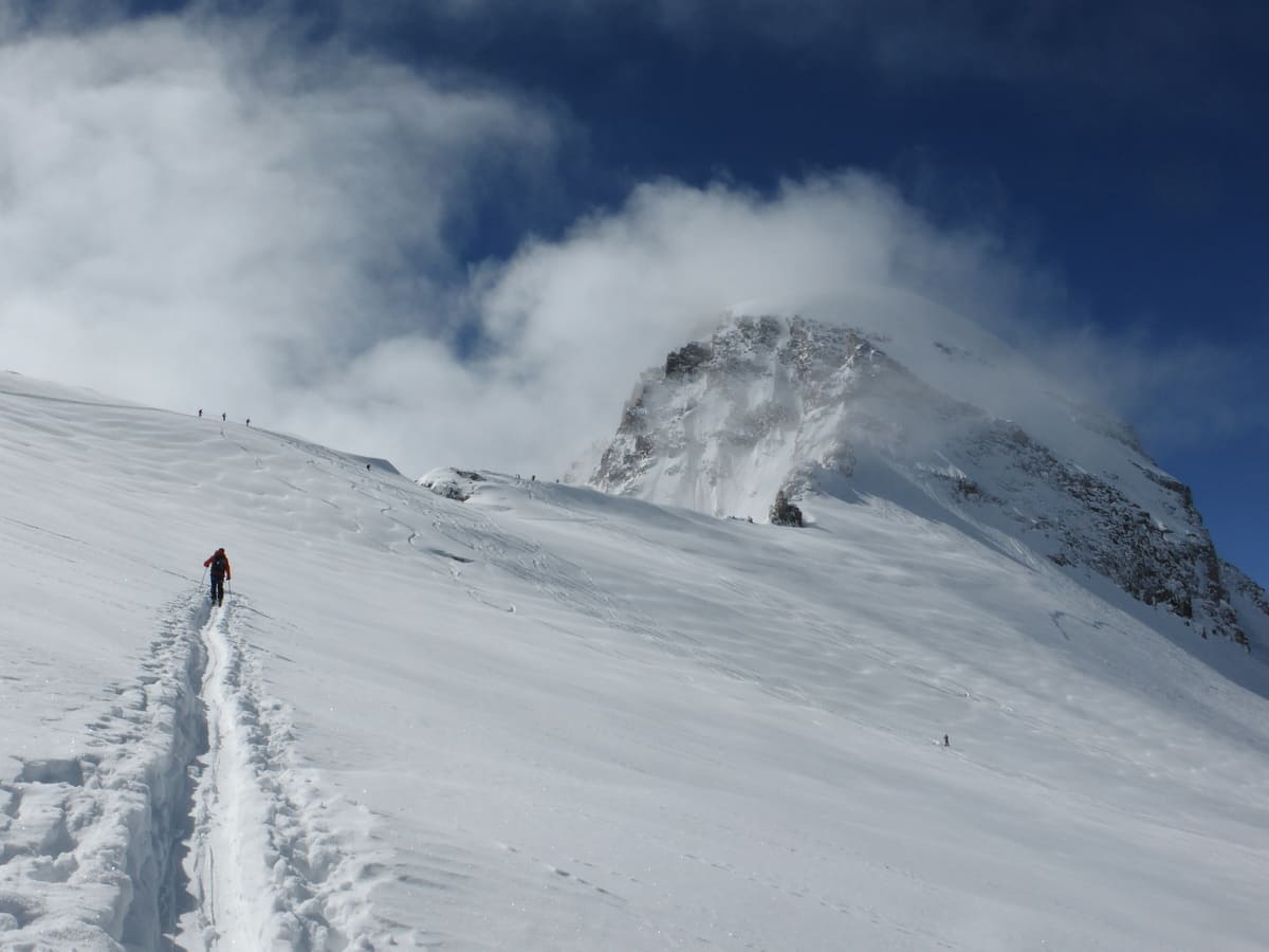 Guide ski randonnée grand-paradis