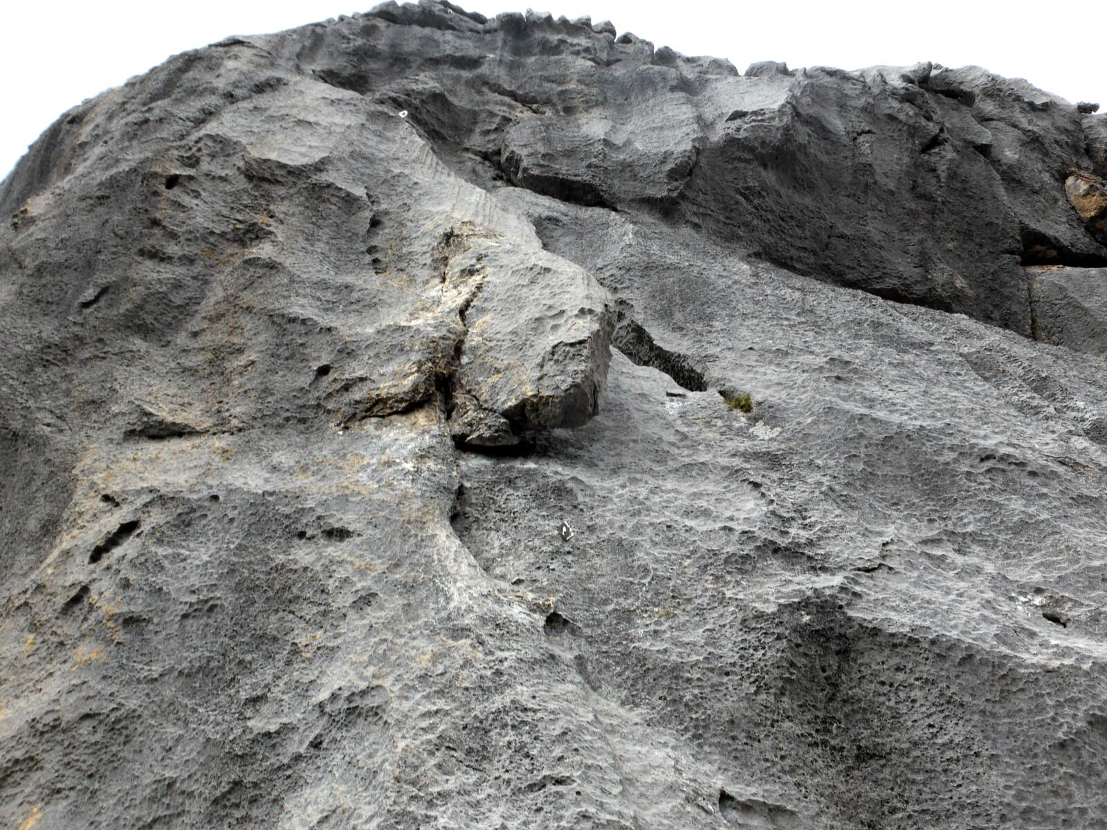 Escalade Calcaire Paradise