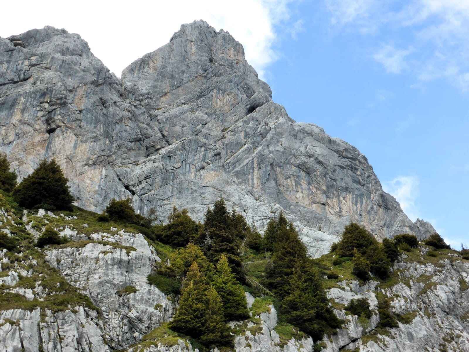 Escalade Calcaire Paradise