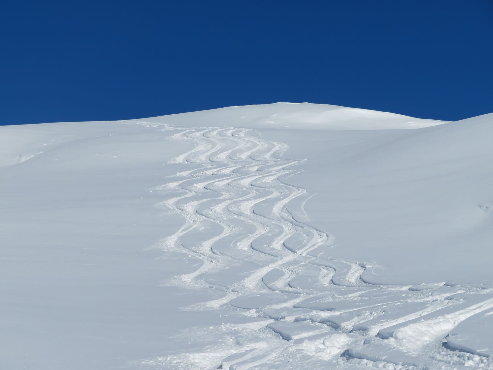 Guide raid ski en Lodge Wildstrubel