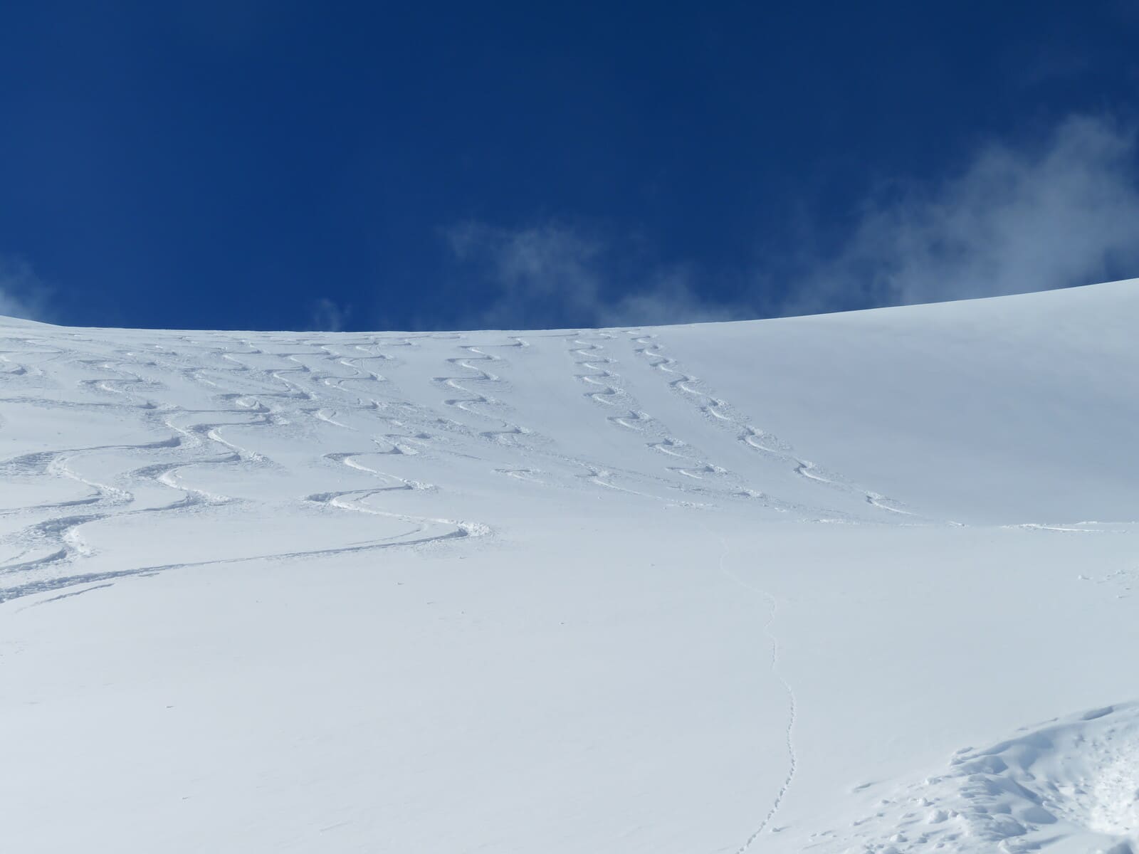 Guide raid ski en Lodge Wildstrubel