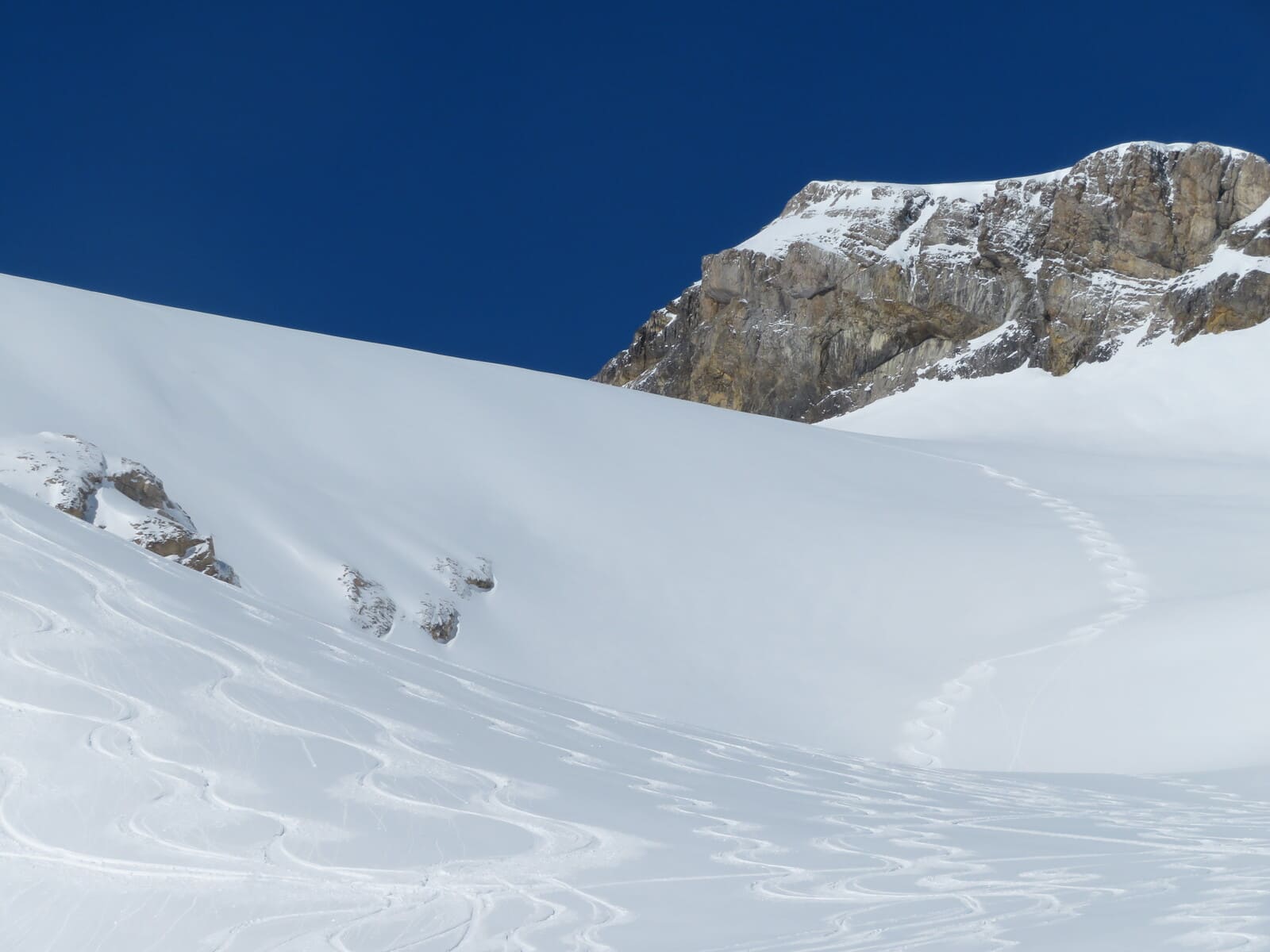 Guide raid ski en Lodge Wildstrubel