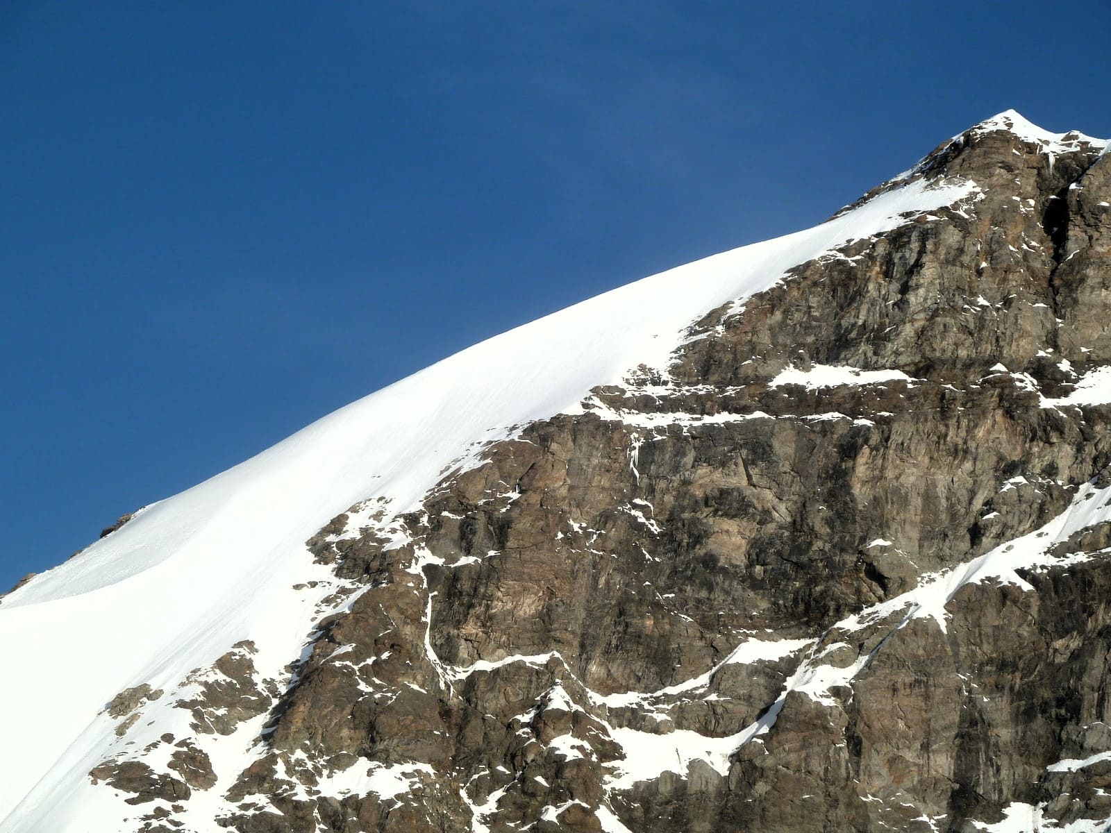 MÖnch - Jungfrau 3j Alpinisme | 4158 m | 3 jours