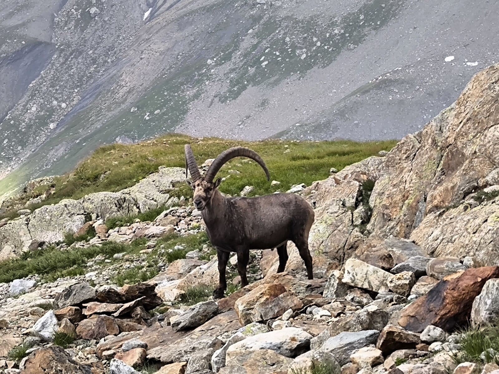 Alpinisme au refuge Robert blanc