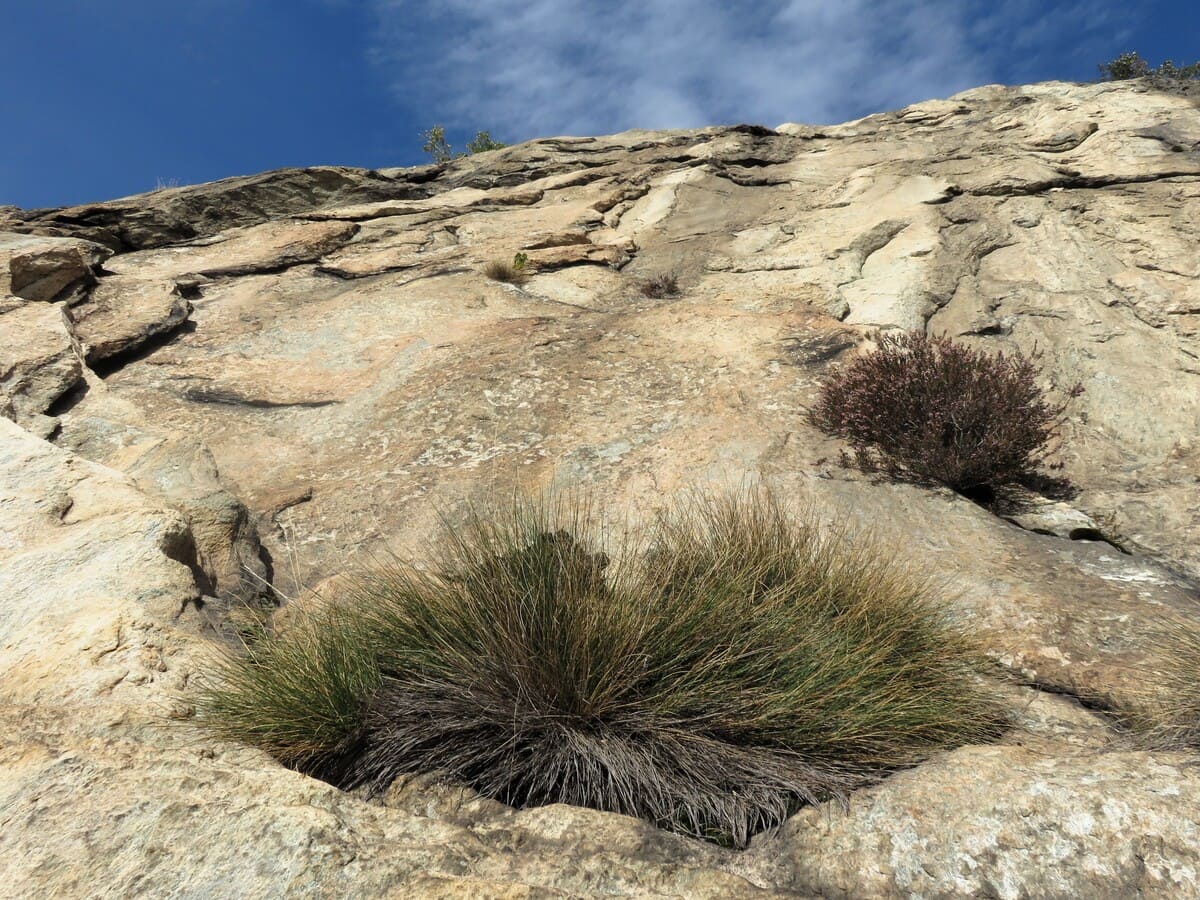 Escalade à Machaby, vallée d'Aoste