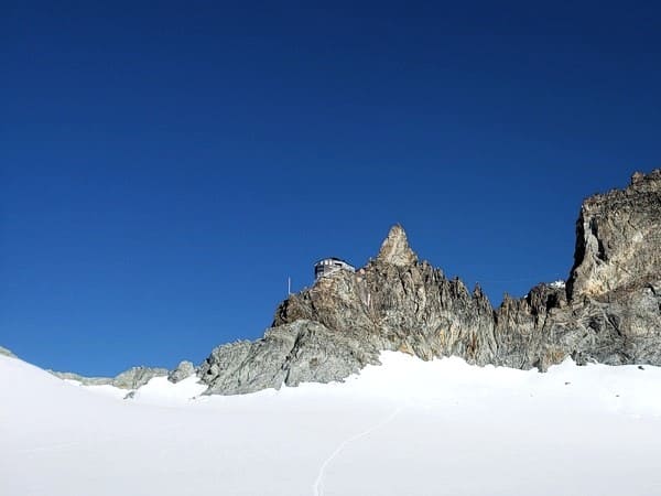 Tête Blanche de Bertol