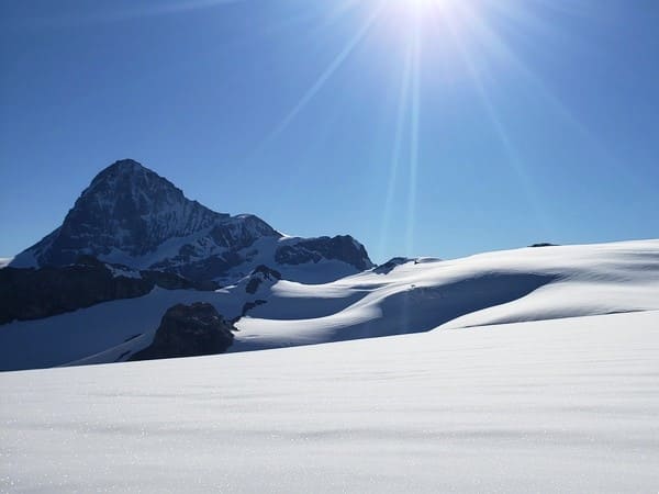 Tête Blanche de Bertol