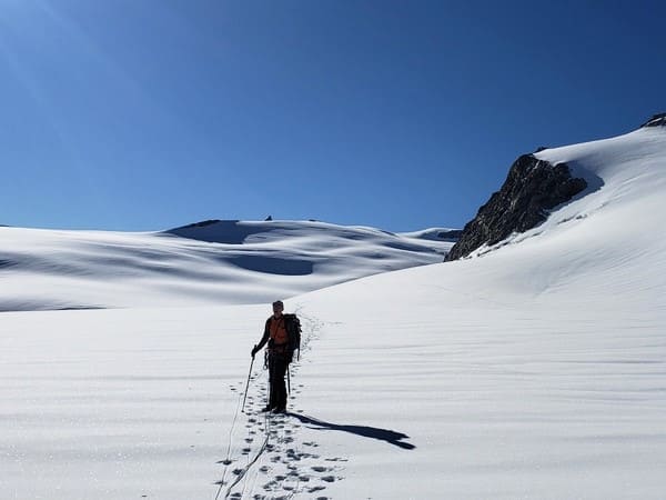 Tête Blanche de Bertol