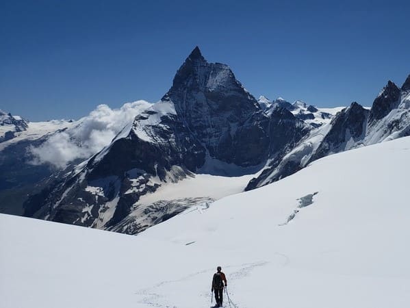 Tête Blanche de Bertol