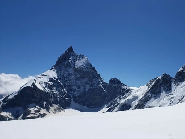 Tête Blanche de Bertol