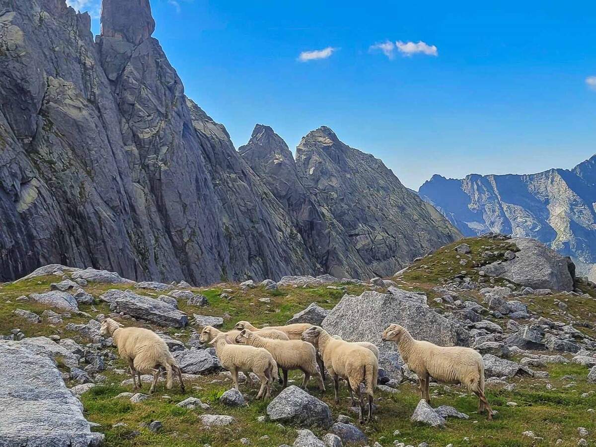 Trekking Sentiero Roma