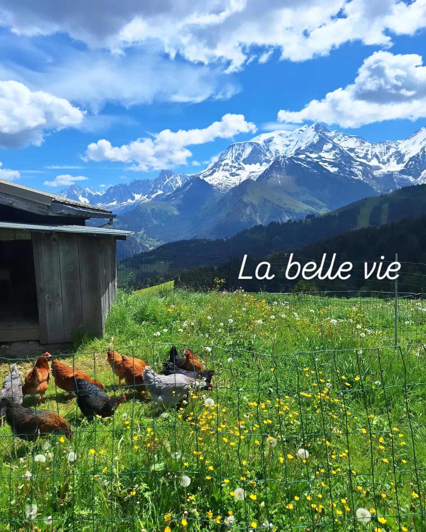 La Grand Montaz