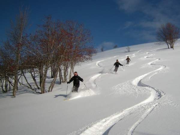 Initiation au ski de randonnée