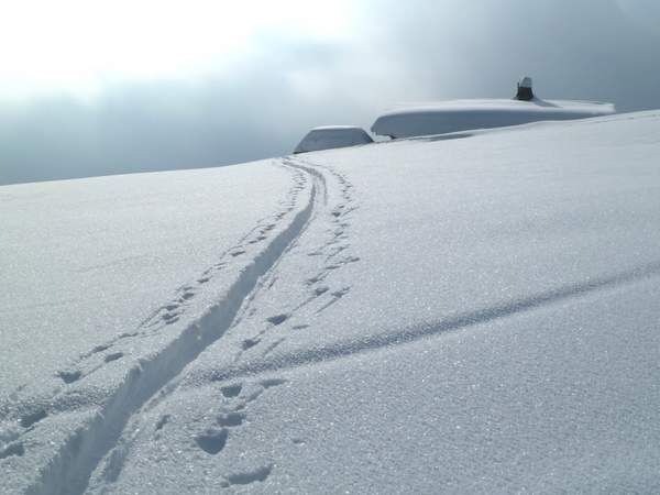 Initiation au ski de randonnée